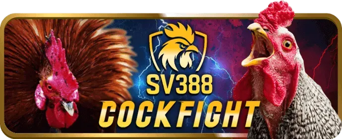 Đá gà F8BET