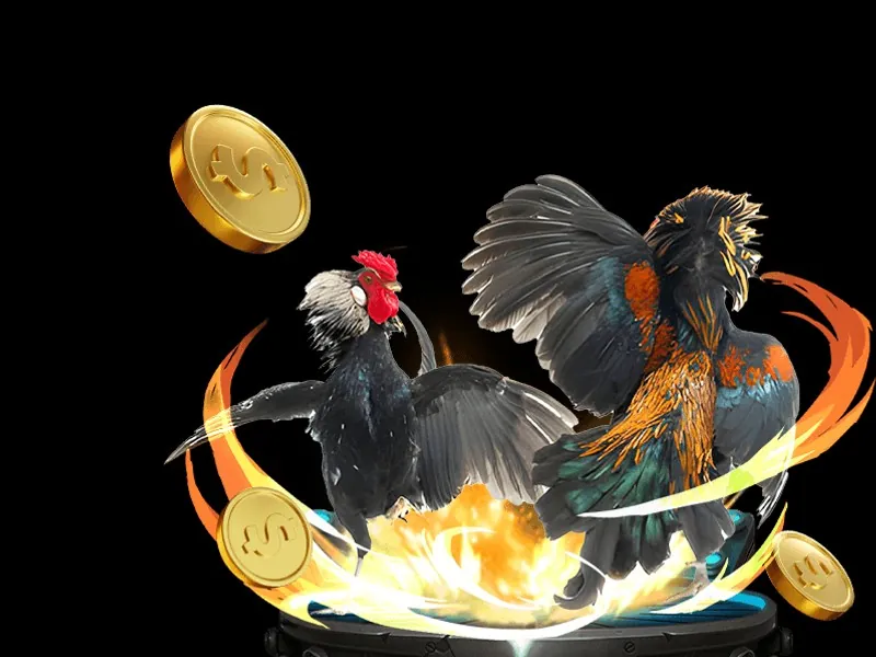 Kèo Meron trong đá gà 88i